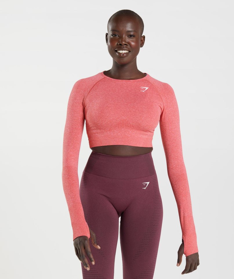 Women\'s Gymshark Vital Seamless 2.0 Cropped Tops Pink | CA 153AND